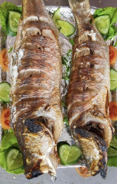 Kingfish Kingfish