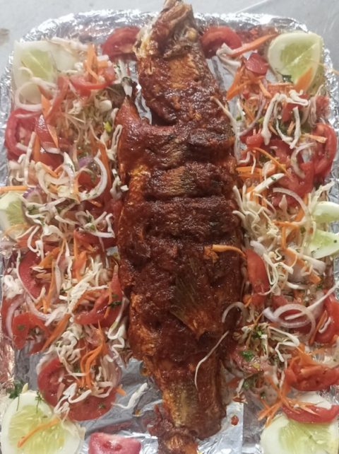 Red snapper Red snapper